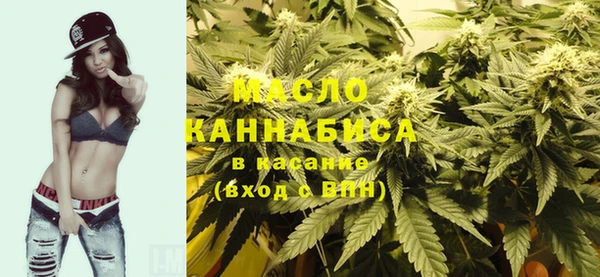 амф Новозыбков