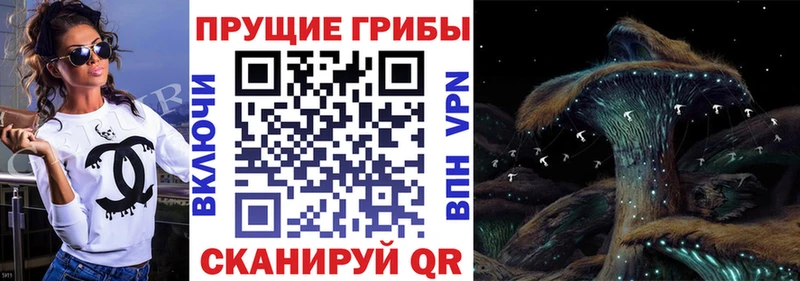Псилоцибиновые грибы Magic Shrooms  закладки  Спасск-Рязанский 